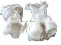 Chondroitin Sulfate