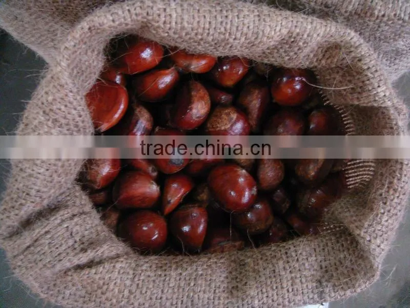 Chestnut Type Raw chestnut