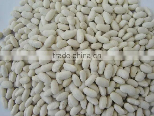 2014 different varieties of white kidney beans from China with cheap price