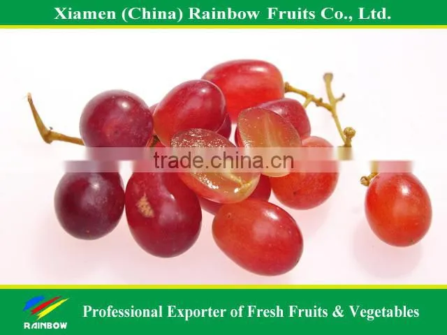 Top Quality Fresh Sweet Yunnan Red Grapes for sell with POP SGV brand
