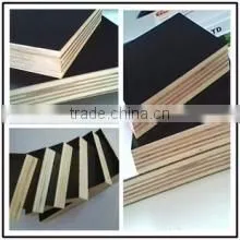 melamine laminated plywood matt/glossy/embossed finish /wood grain plywood for cabinet