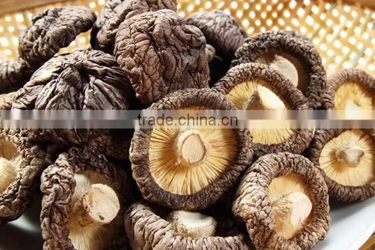 Fresh Air Dried Dehydrated Shiitake Mushroom Stem Granules