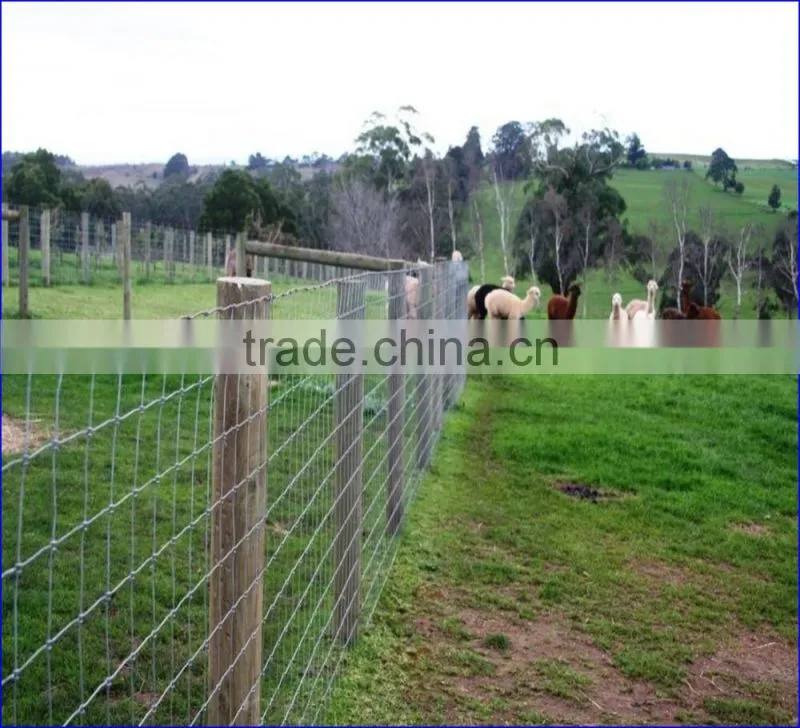 Anping Deming Factory Hot Sales Hot Dipped Galvanized Field Wire Mesh Fence