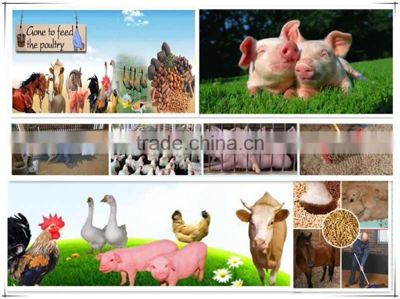 CE approved pine wood corn stalk hammer mill with cyclone/wood pellet crusher/animal feed grinder