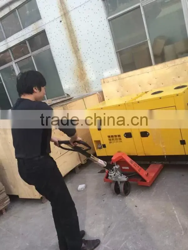 Manual hydraulic vehicle hand Pallet Truck Hydraulic loader