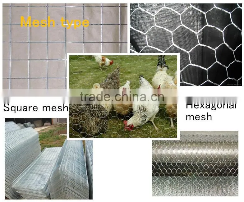China supplier, animal wire mesh/chicken netting/chicken cage