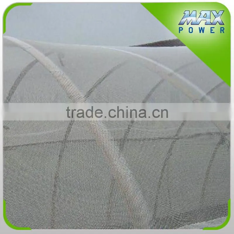 Vegetable Tunnel Greenhouse insect mesh