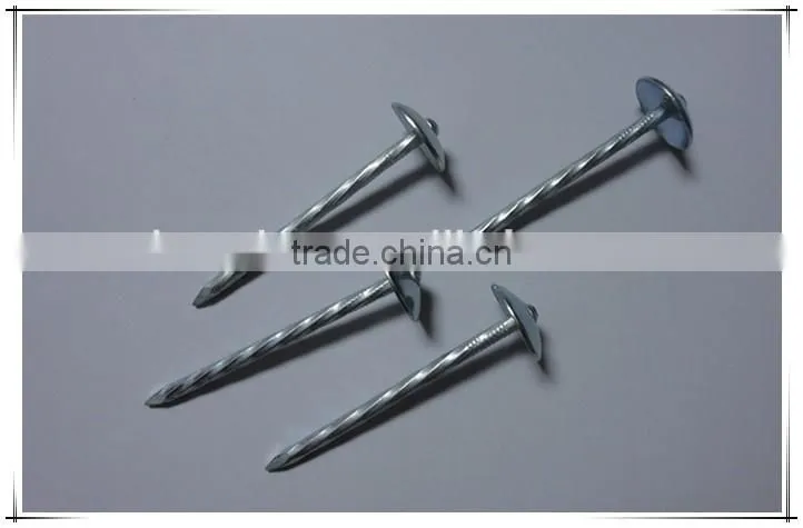 Large head roofing nail china nail factory price from China