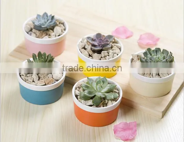 Attractive indoor decor mini bright color ceramic planter