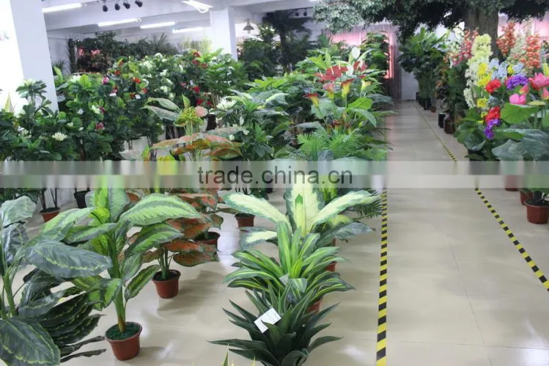 grass turf /plastic grass mat / for hedge / wall