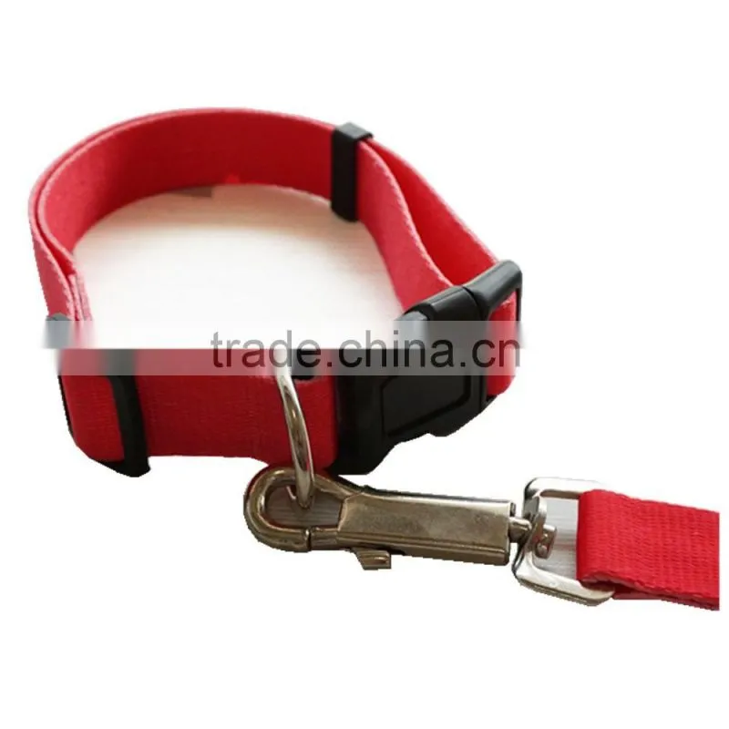 Custom pet collars & Leashes