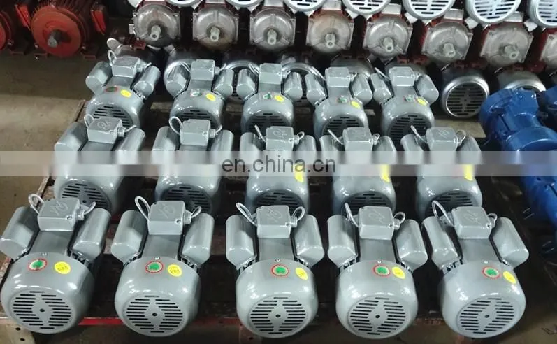 220V/110V Single Phase AC Induction Motor 750W 1HP