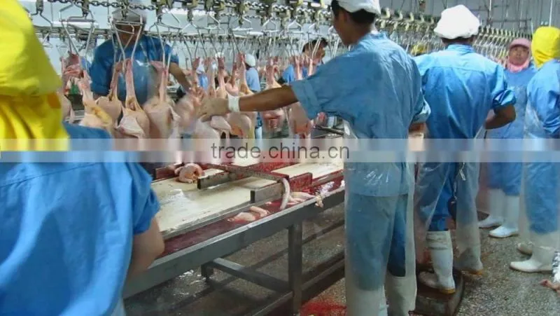 portable automatic chicken slaughter houses for slaughtering