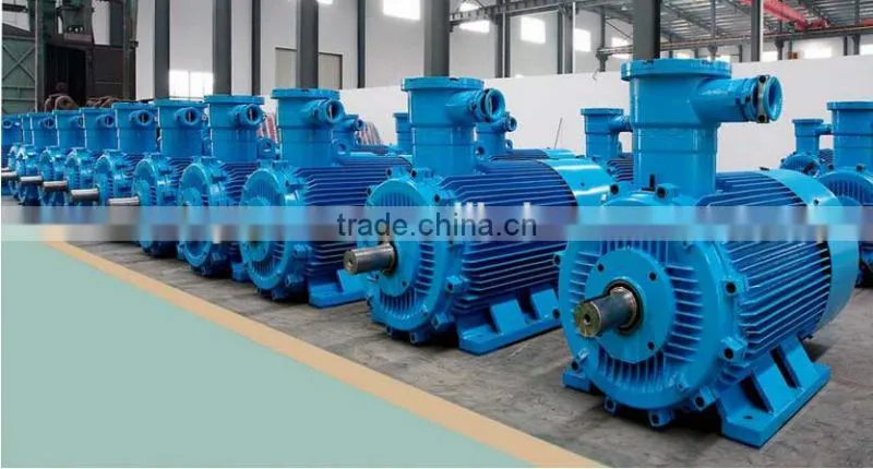 China manufacture three phase ac electric explosion proof motor