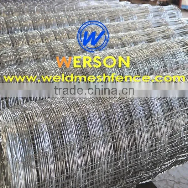 hot dipped galvanized sheep goat dog rural farm fence/mesh| werson fence