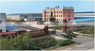Cangzhou Huaxin Pipe Manufacturing Co., Ltd. company overview - view 2