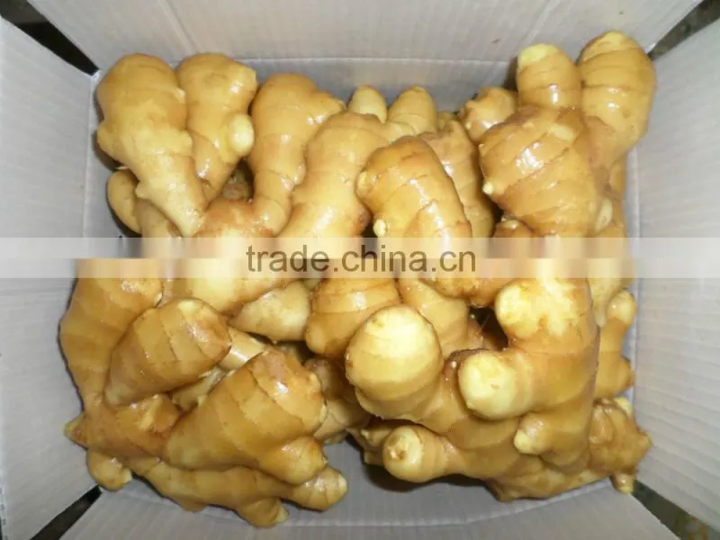 2015 new harvest Chinese fresh ginger best quality