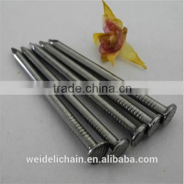 Construction Wire Nails Supplier/Wire Nail Price