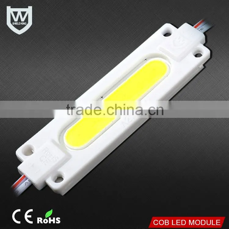 Cob led type injection led module IP67 cool white warm white white Emitting color 2W Power cob led module with 3years warranty