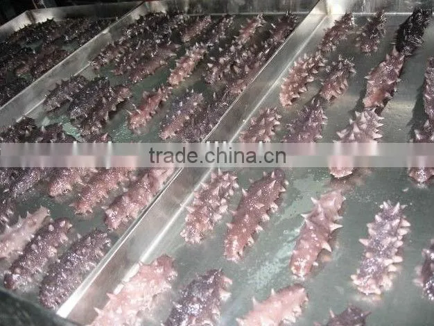 freeze drying machine