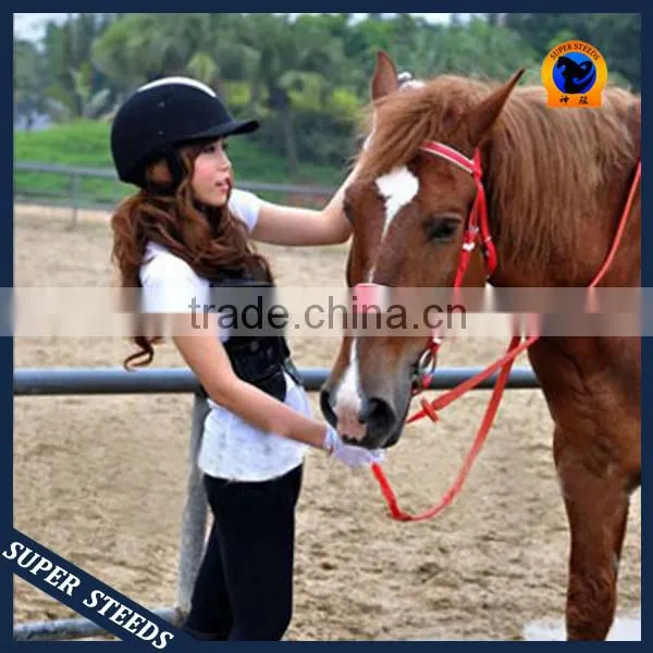 Horse Briddle with raised browband