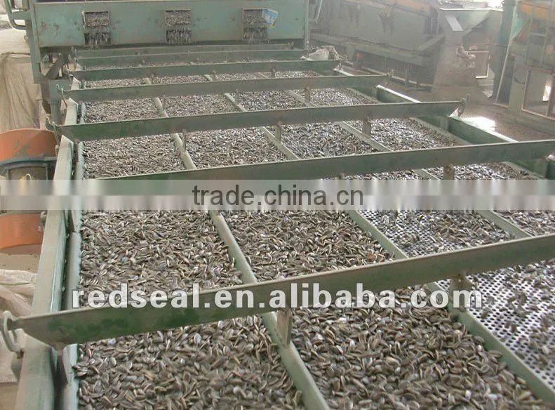 2014 White Sunflower seeds