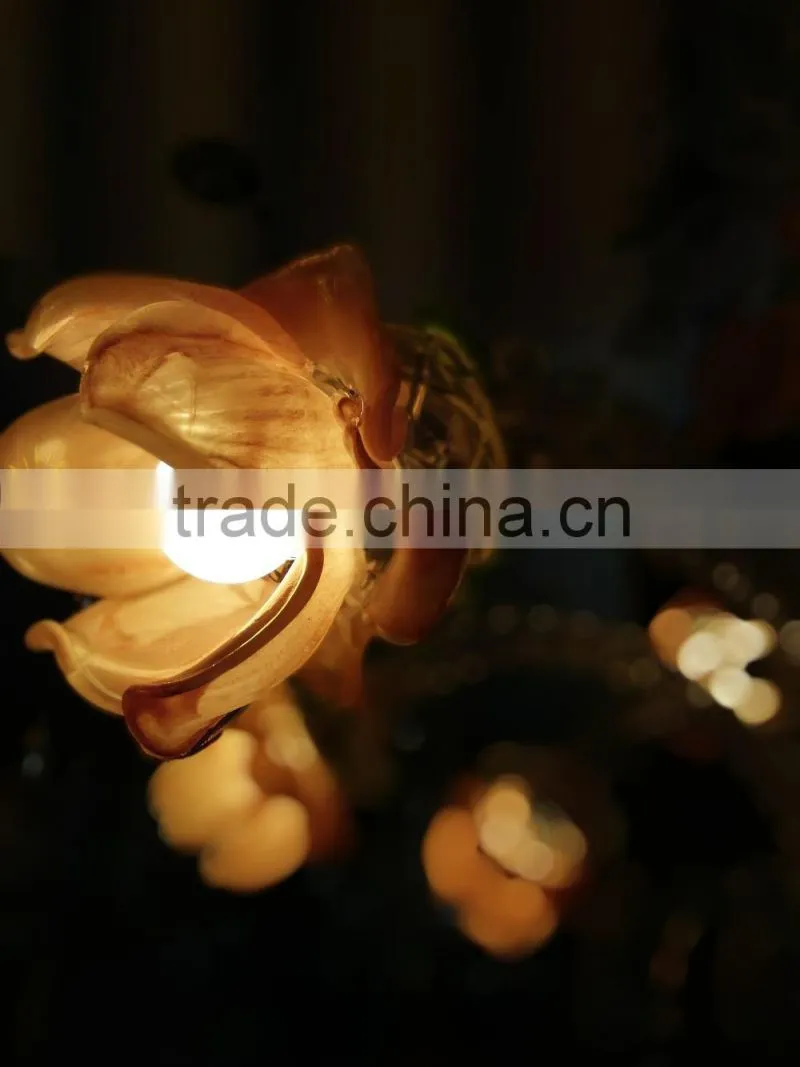 Country style Crystal Chandelier lighting hand make
