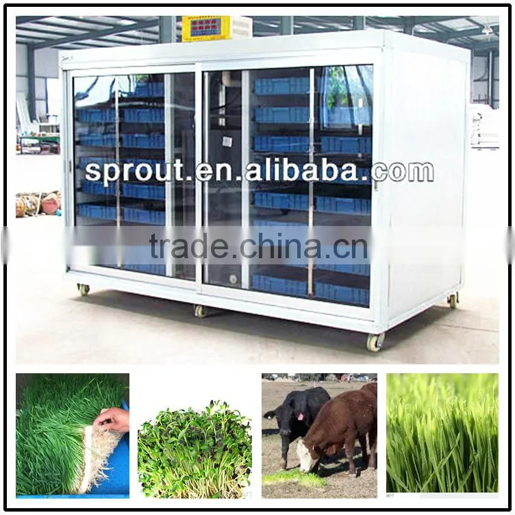 Seedling planting machine/oat sprout machine/ wheat sprout machine