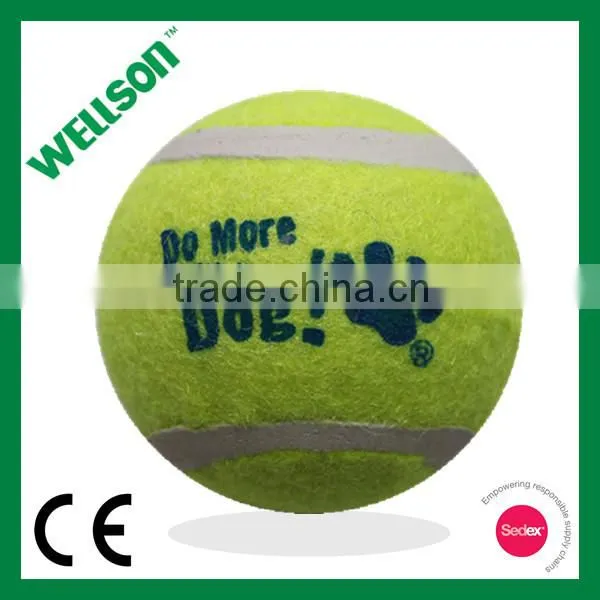 Pet tennis ball with squeaker