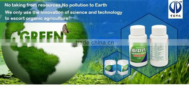 Low price guaranteed quality calcium amino acid