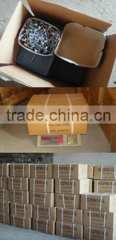 low price galvanised roofing nails with umbrella head