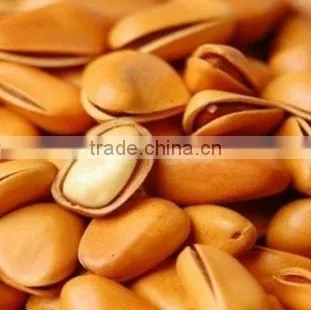 selling pine nuts cedar nuts