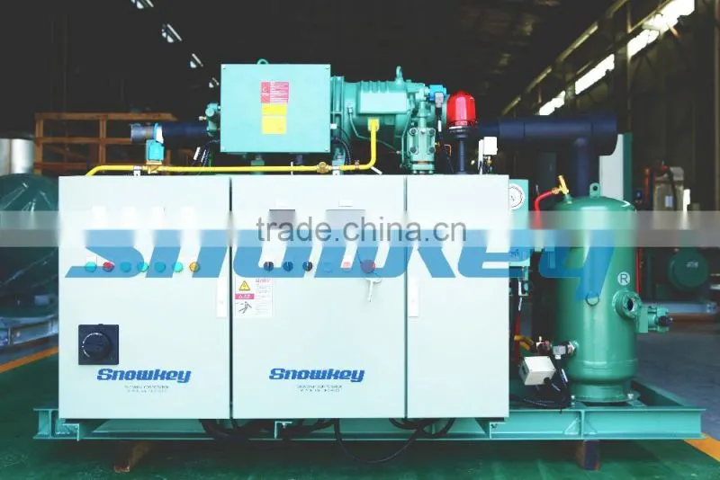 CHINA TOP 1 Commercial Ice Maker 10T Plate Ice Maker High Quality Ice Making Machine