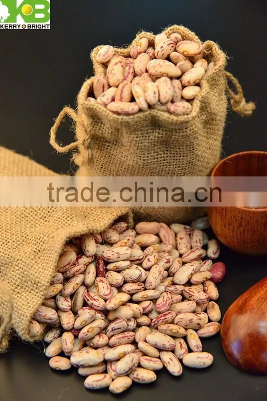 Sale light speckled kdiney bean long shape