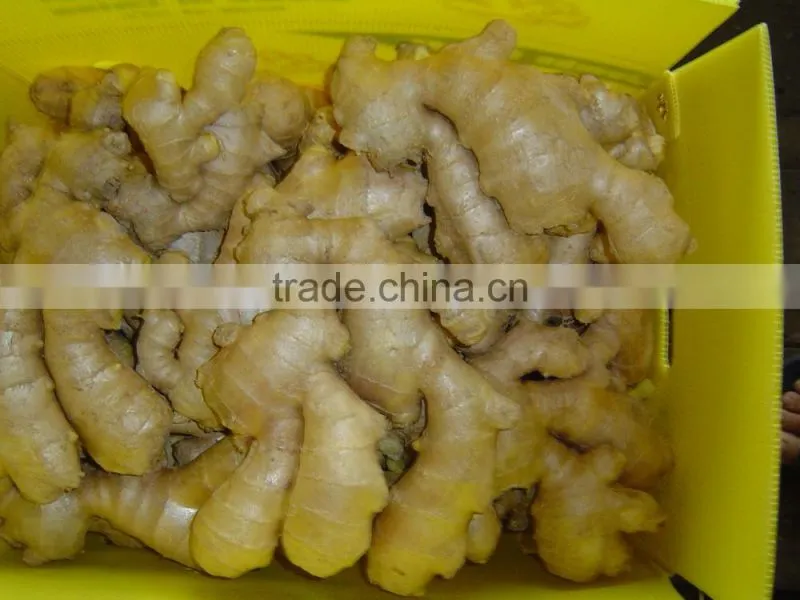 Chinese fresh ginger