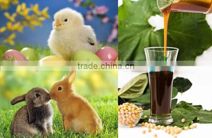 phospholipid Soya lecithin