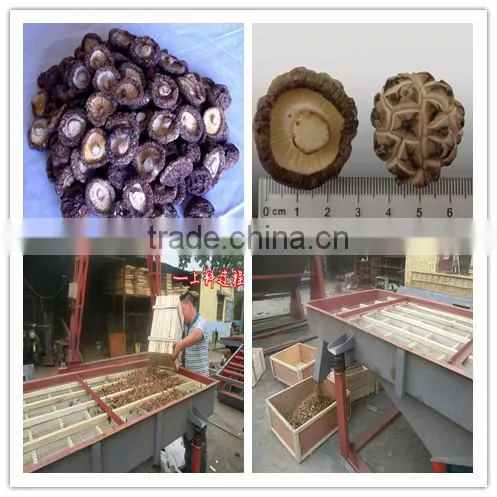 hot sale log white flower mushroom