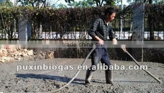 Low cost and big size PUXIN biogas plant for electricity generation