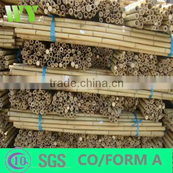 WY-221High quality bamboo poles bamboo canes bamboo stakes in raw materials for agriculture