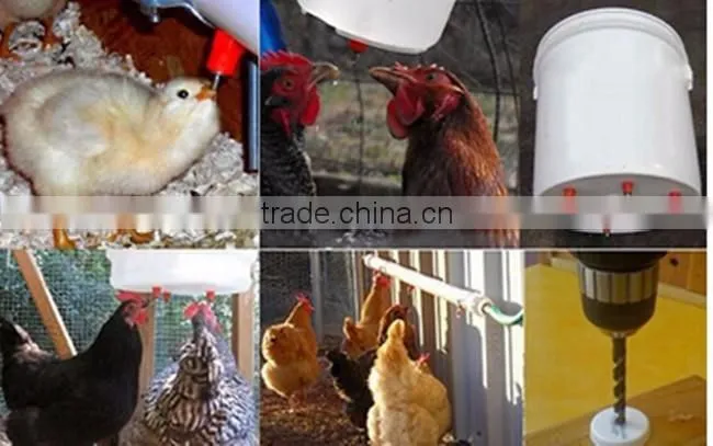 Well experienced automatic poultry drinkers, chicken nipple drinker HJ-DN001