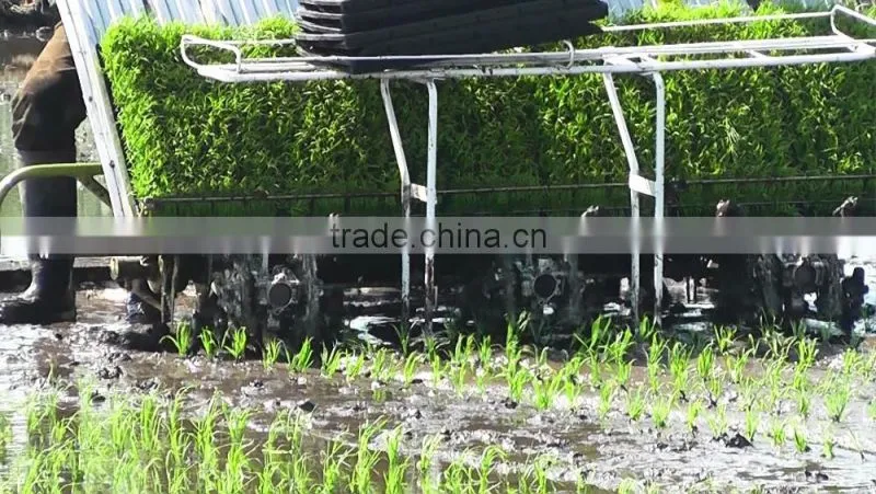 top quality rice transplanter