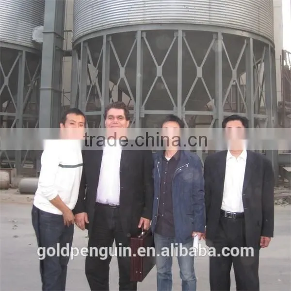 50TD Professional Design crude rice bran oil machine price