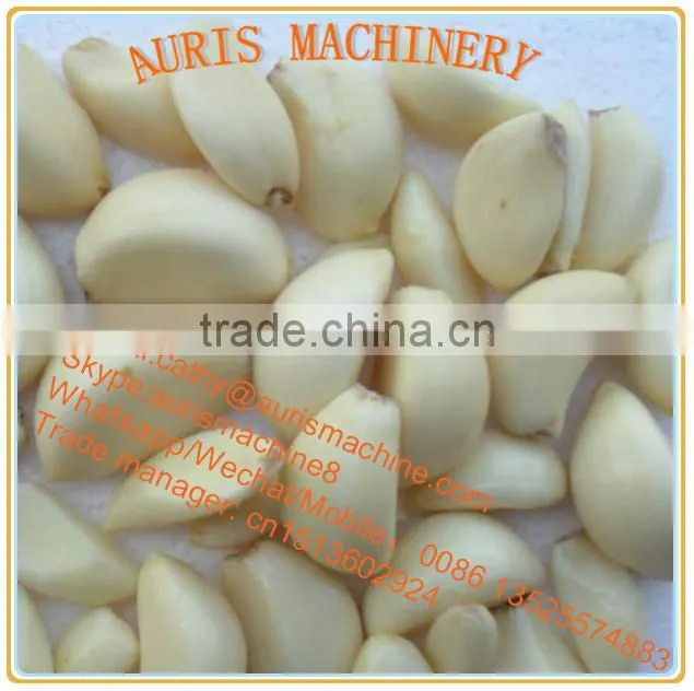 China manufacutre widely electric garlic peeler machine for sale