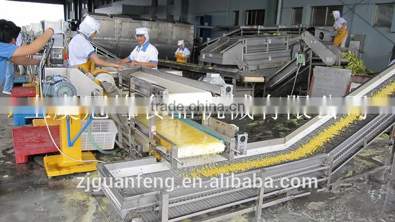 fruits and vegetables quick freezing production processing line