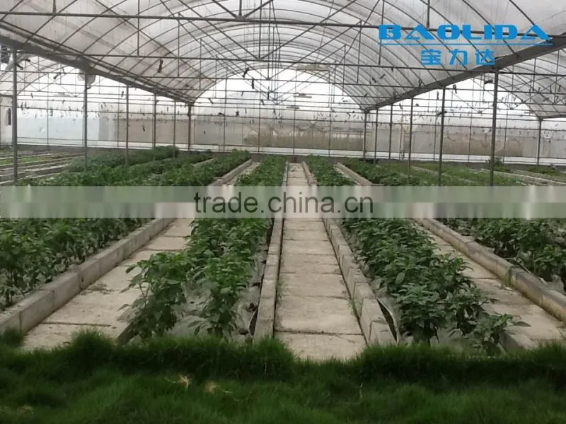 factory price BLD001 plasctic film cover greenhouse for agricultural and commercial use