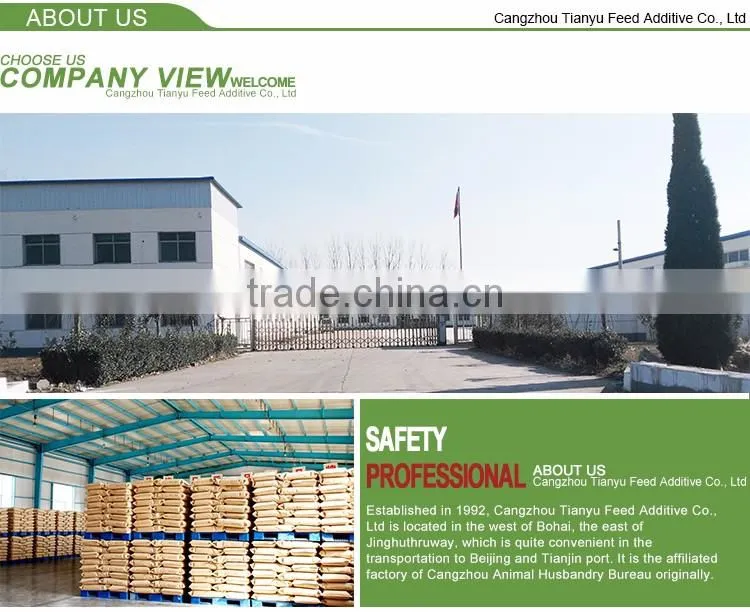 choline chloride/best price Choline Chloride 60% for poultry feed