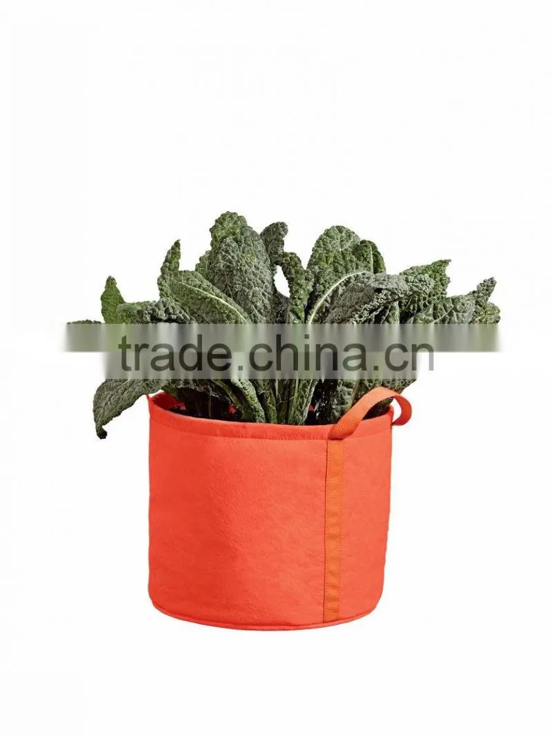 non woven 15 gallon grow bag