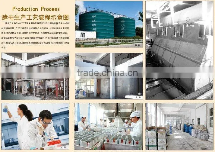 dry low sugar yeast 5KG 500g 450g 400g 125g 100g 10g 5g