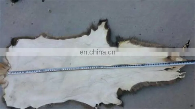 High quality genuine Raccoon fur skin for coat /garment
