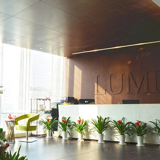 Lumi Legend Corporation company overview - view 1
